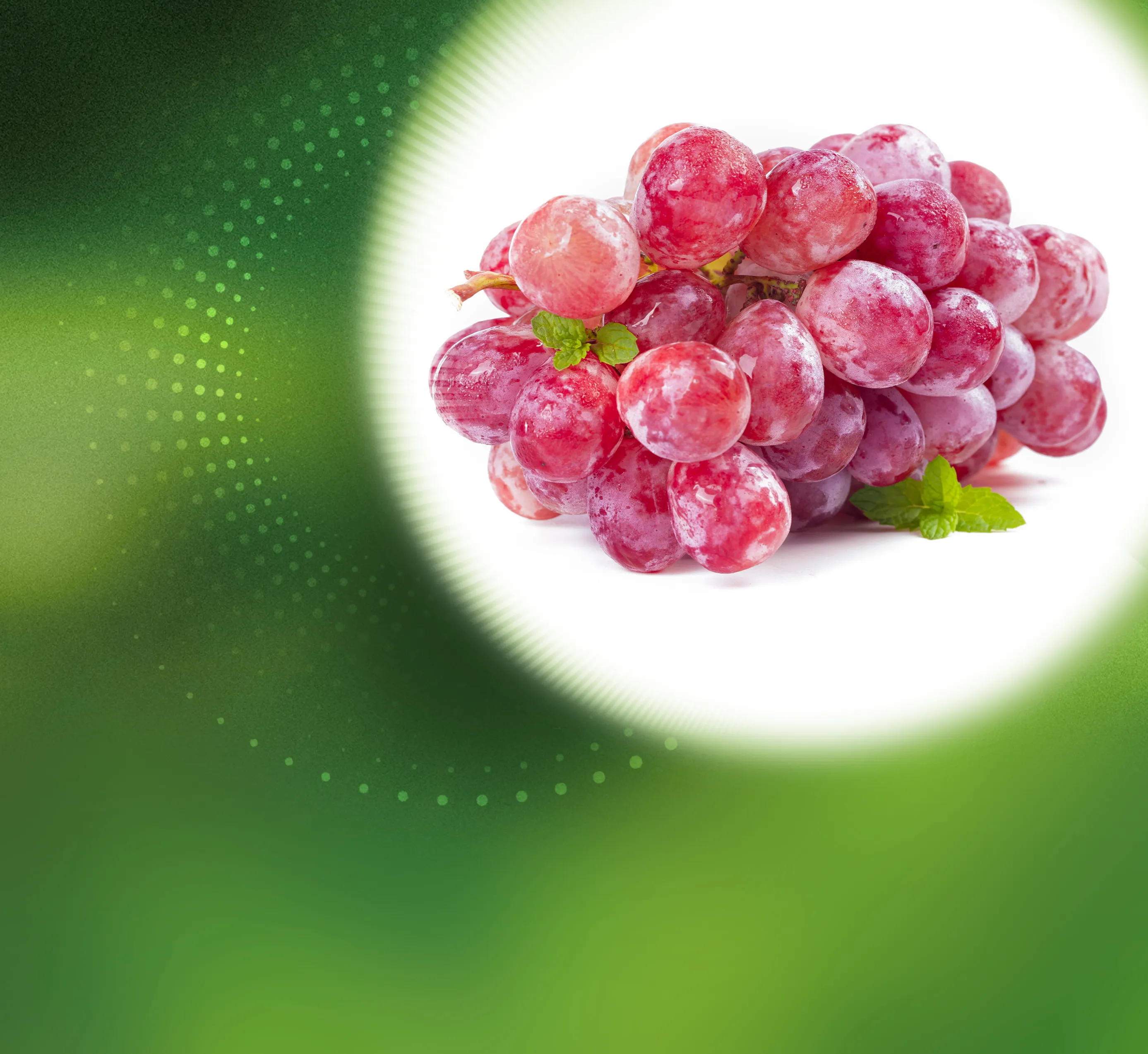 Exclusive raw materials