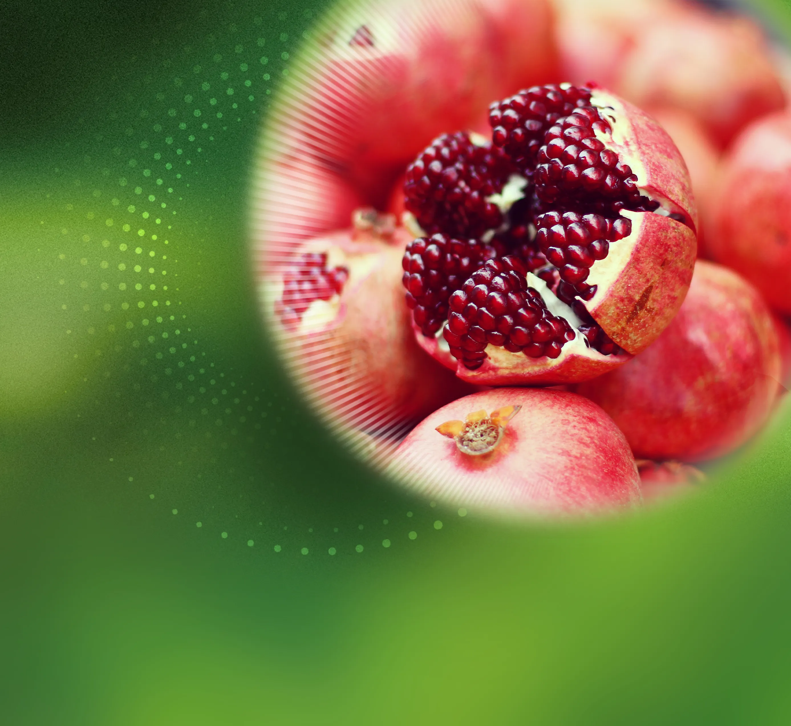 Exclusive raw materials